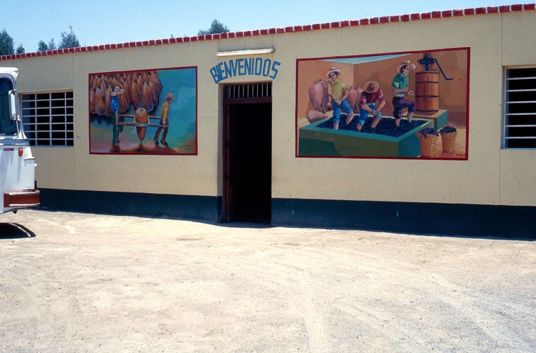 Benvenidos