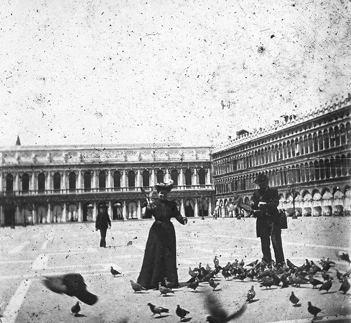 Venise - Place Saint-Marc - Les pigeons