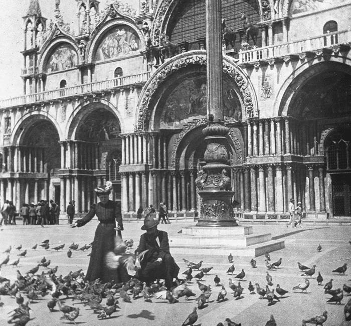Venise - pigeons devant l'Eglise St Marc