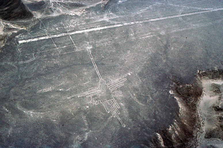Nazca : le colibri