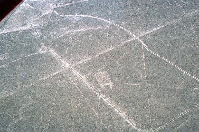 Nazca : le condor