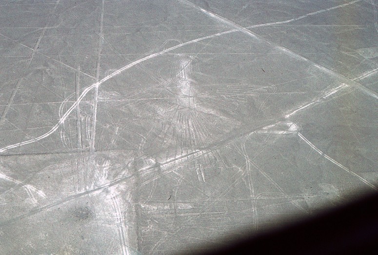 Nazca : le condor