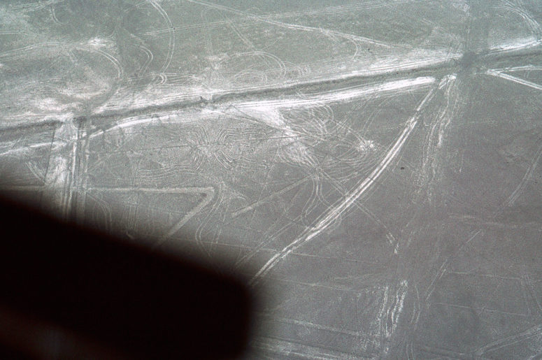 Nazca : l'araignée