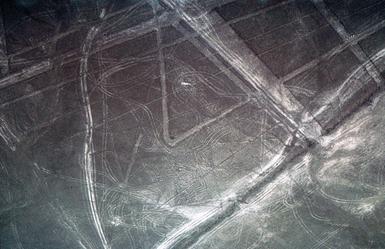 Nazca : l'araignée