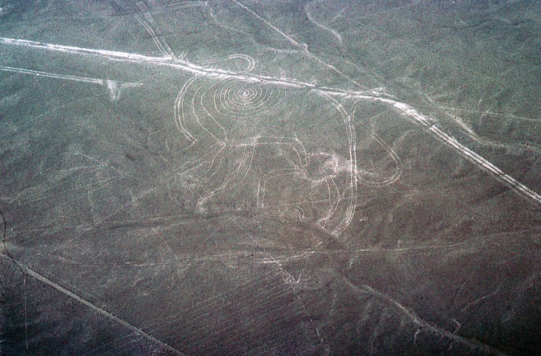 Nazca : le singe
