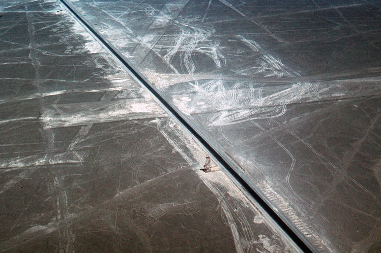 Nazca : les mains et l'arbre
