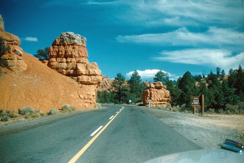 Dixie Forest - Utah