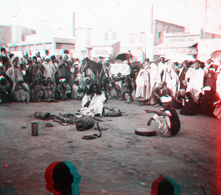 Marrakech : charmeurs de serpents