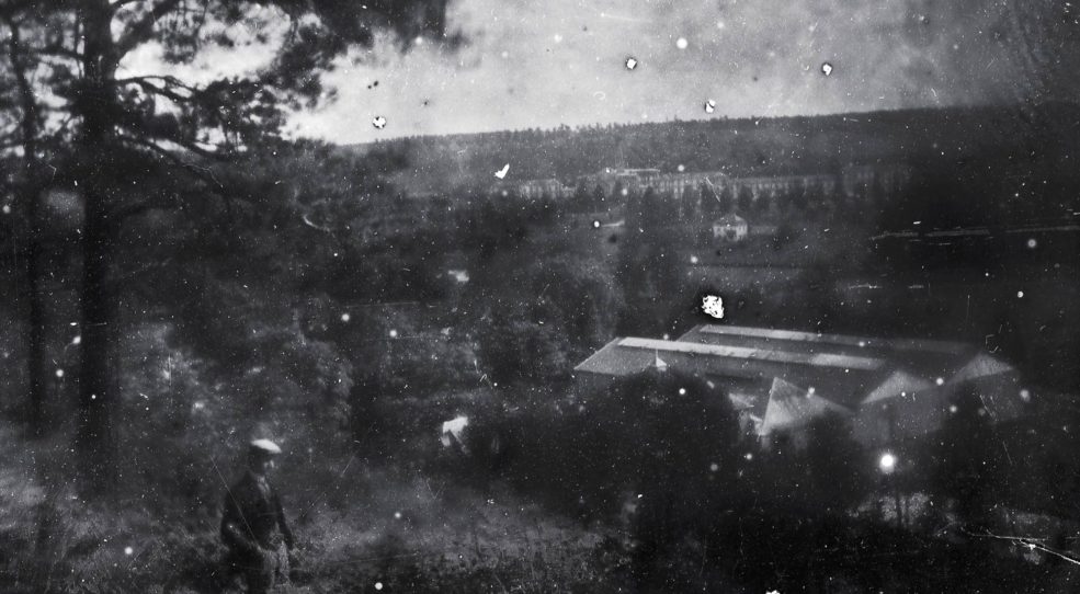 Au-dessus des serres