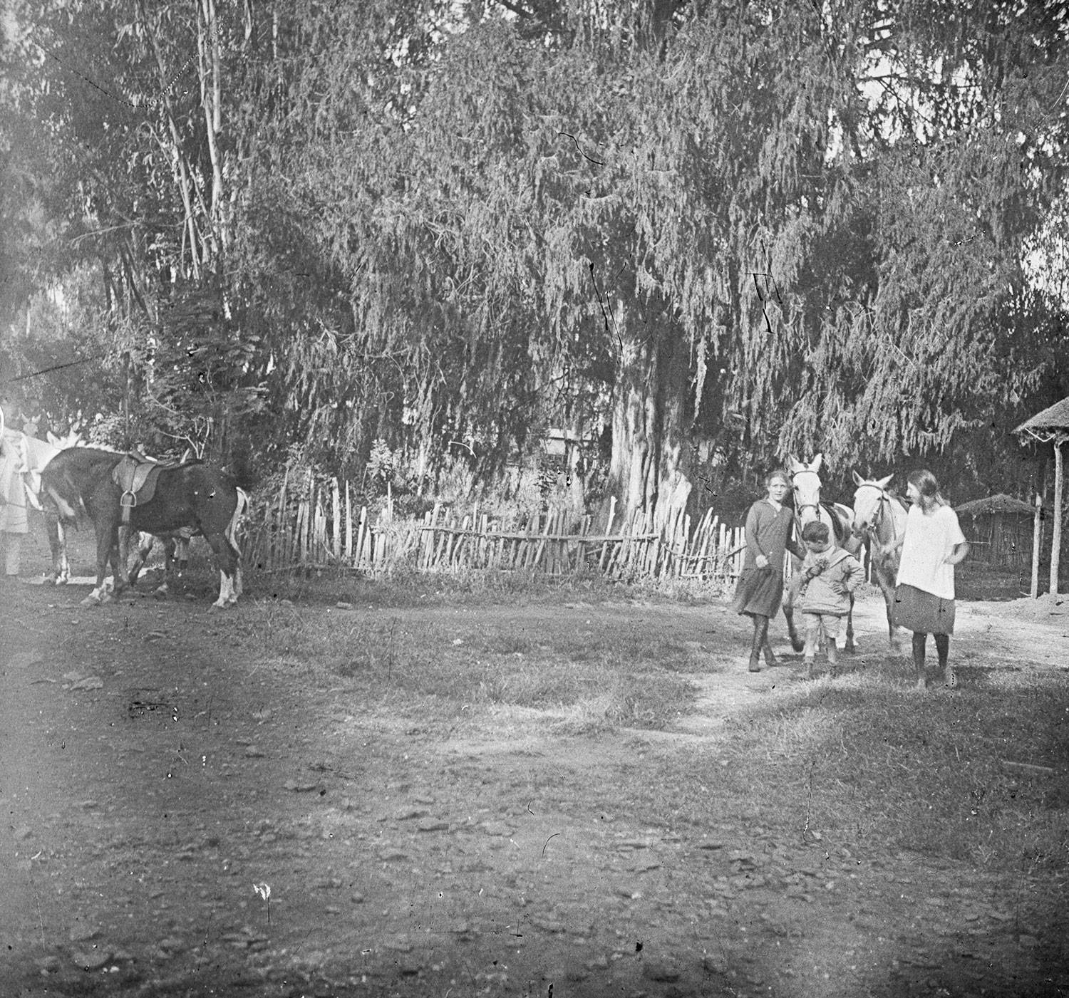 Chez S. ... et Mlle H. 1921 Mars