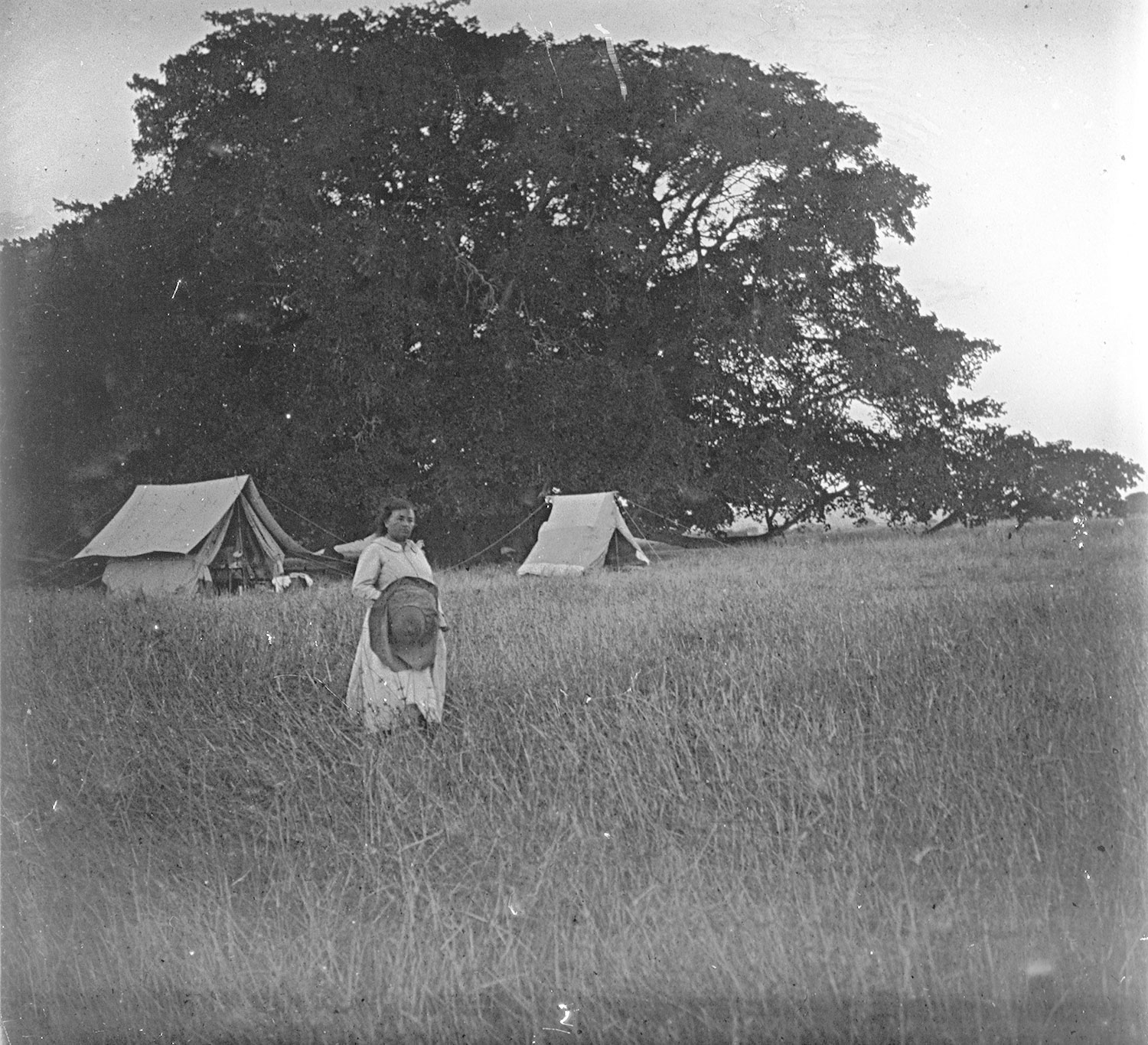 Le campement