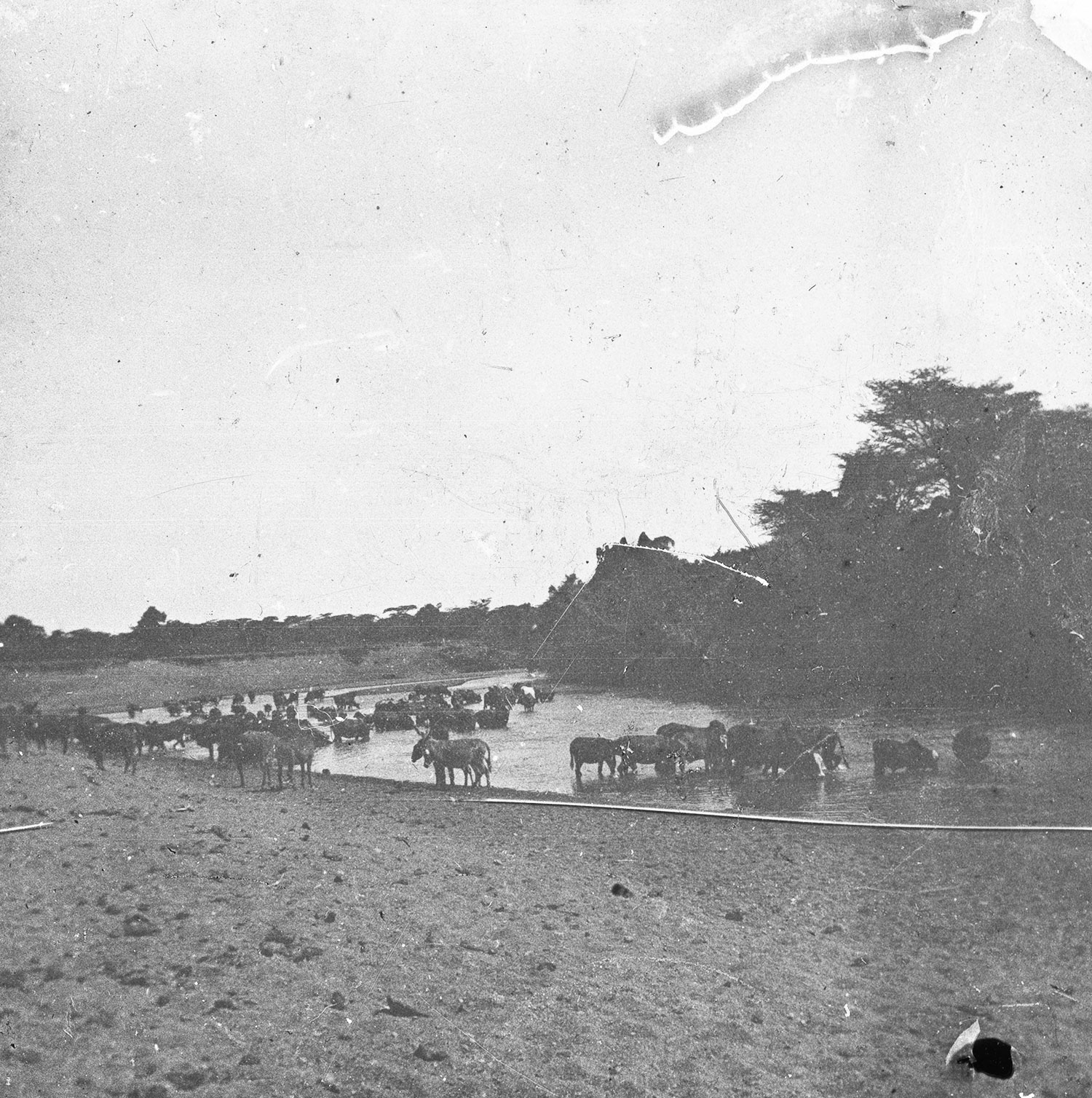 Arrasch rivière de l'Abyssinie Mai 1911