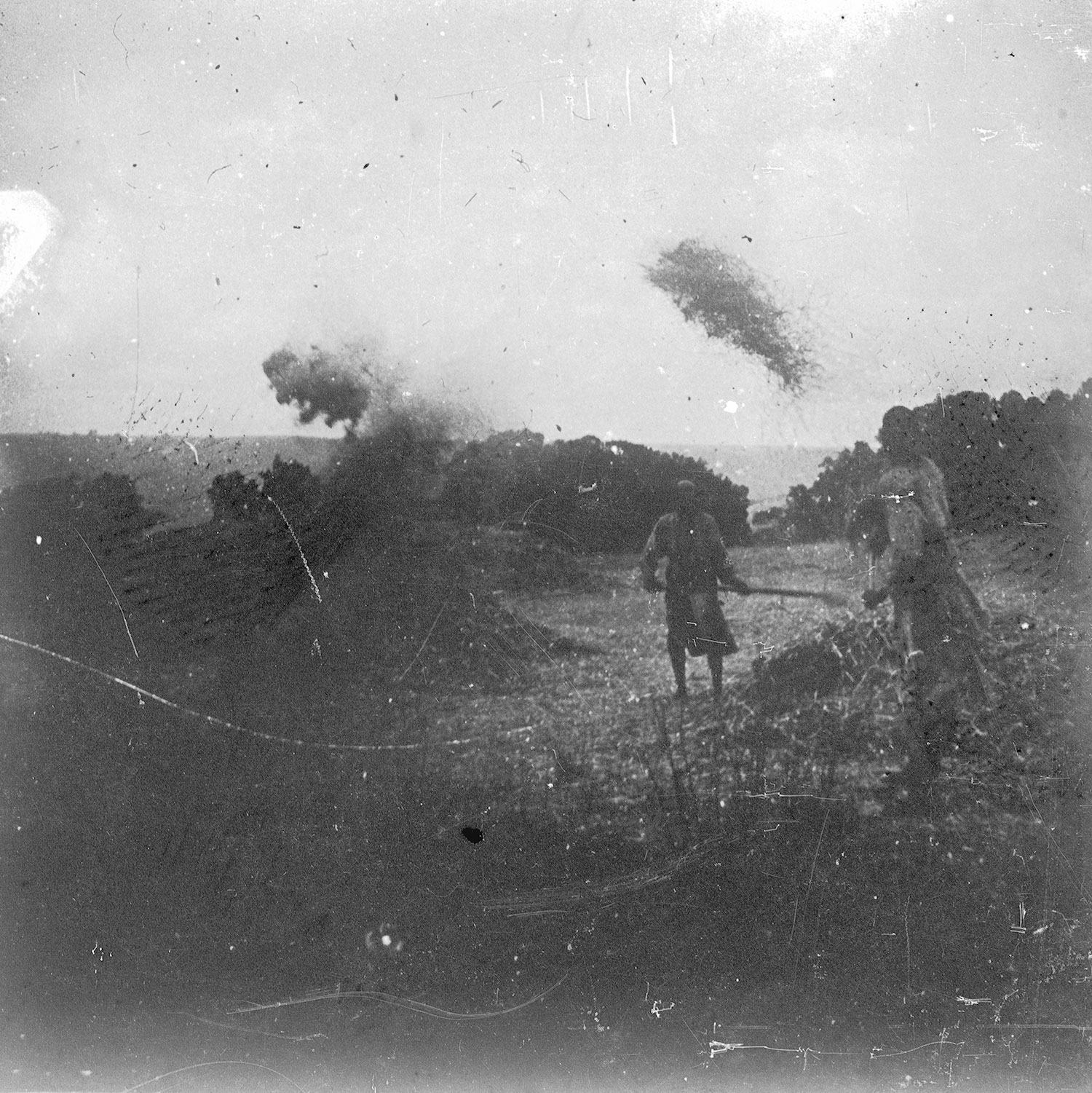 Aranssi Alila Abyssinie Vanage du grain au vent 1916